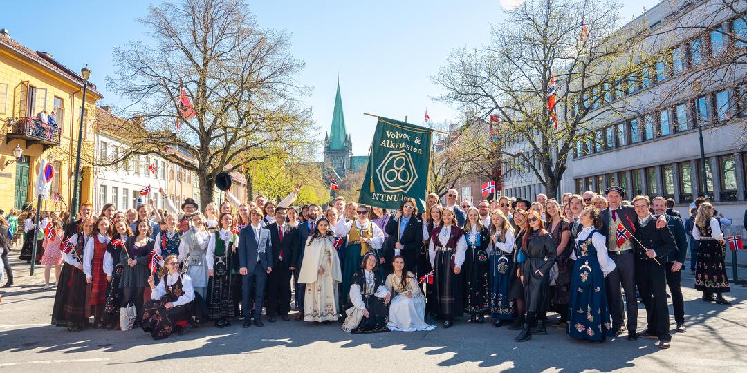 Bilde/illustrasjon om Volvox & Alkymisten