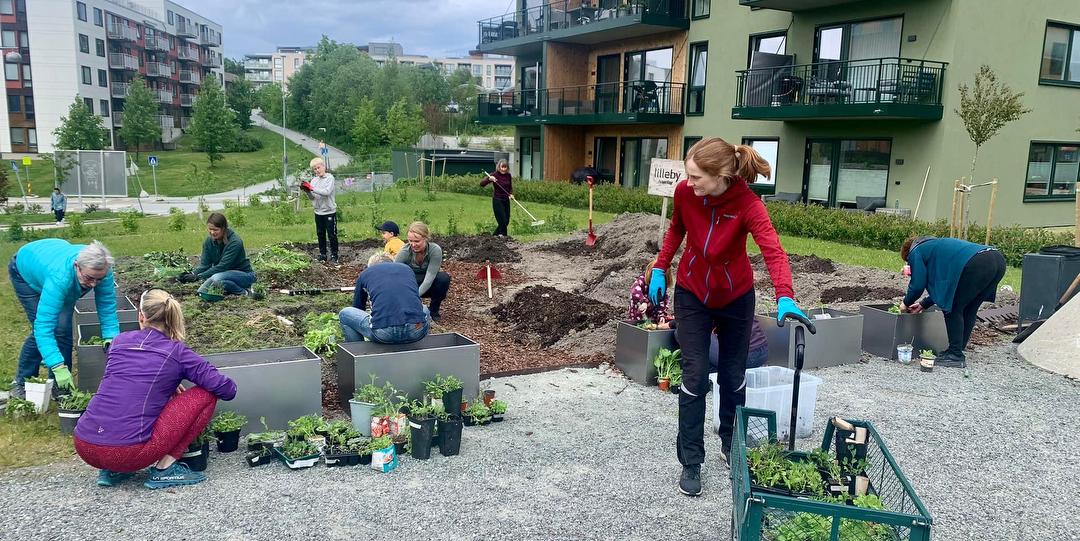 Bilde/illustrasjon om Lilleby Hagelag