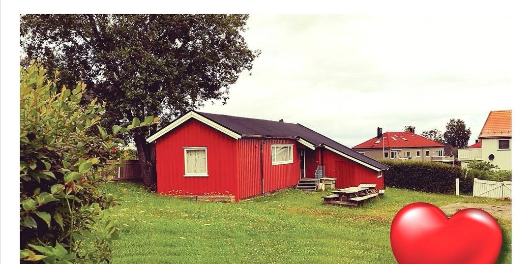 Bilde/illustrasjon om Venner for Livet Hjelpeorgan