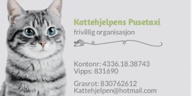Bilde/illustrasjon om Kattehjelpens Pusetaxi